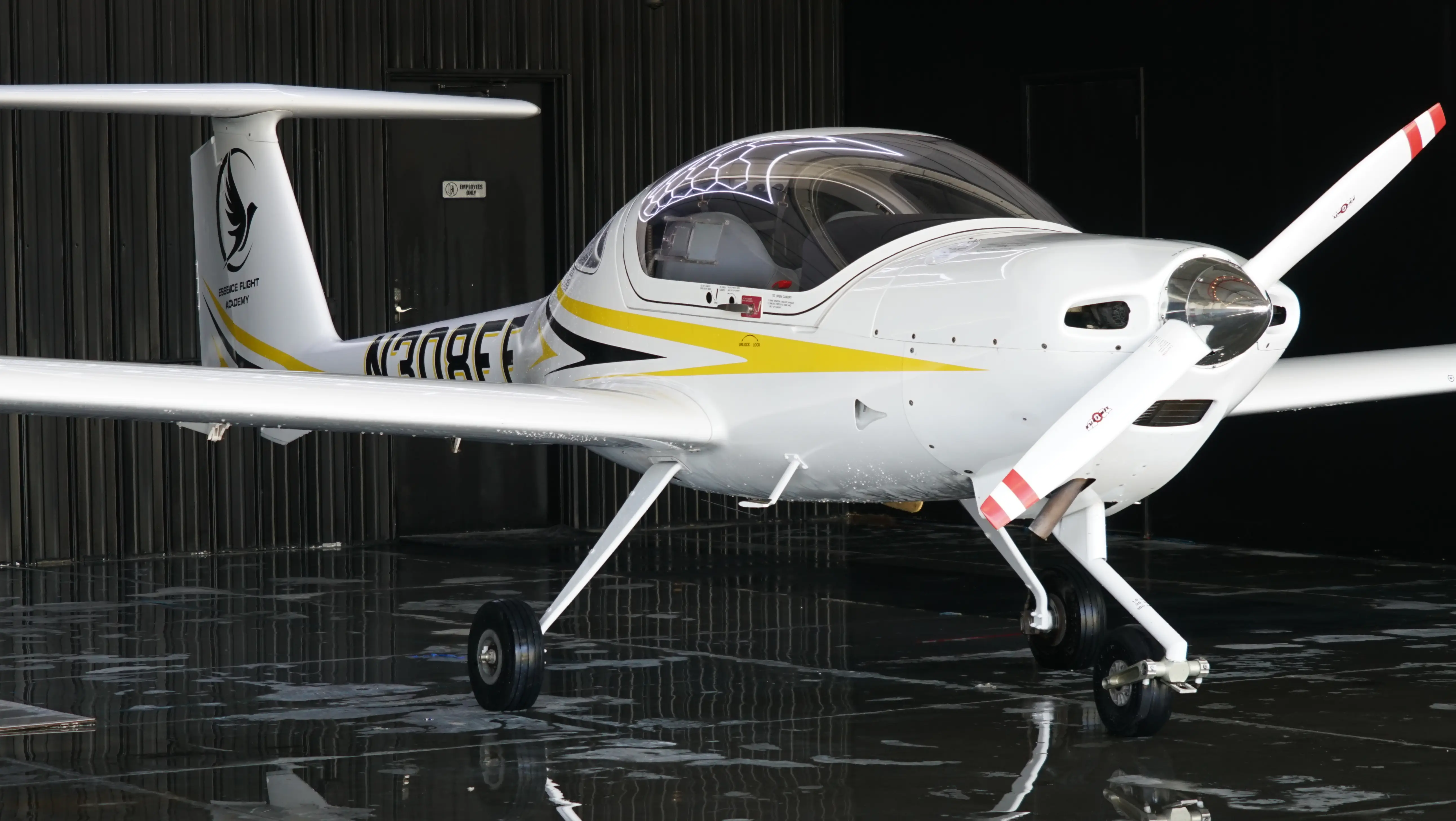 Diamond DA20-C1